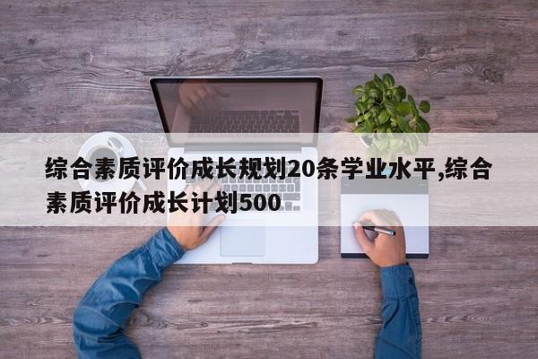 综合素质评价成长规划20条学业水平,综合素质评价成长计划500