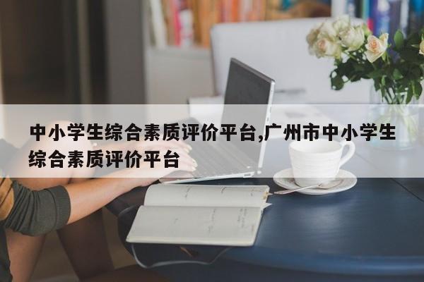 中小学生综合素质评价平台,广州市中小学生综合素质评价平台