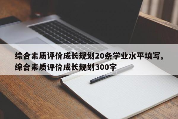 综合素质评价成长规划20条学业水平填写,综合素质评价成长规划300字
