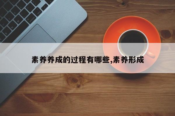 素养养成的过程有哪些,素养形成
